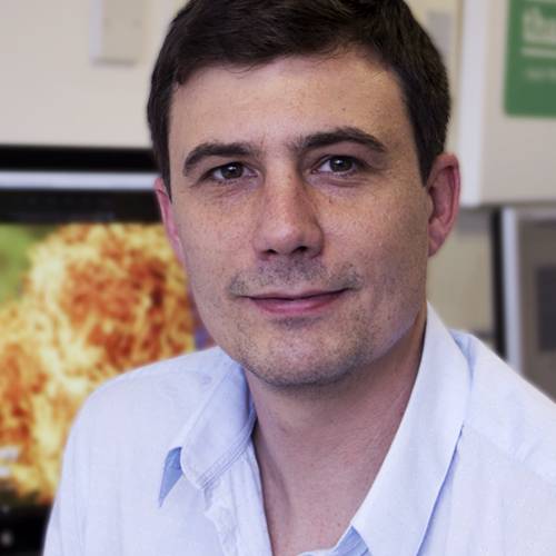 Adam Andrews promoted to Head of Digital at KISS