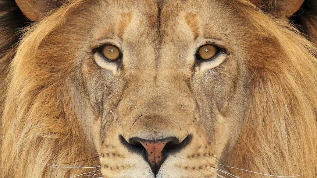 B2B marketing deserves better …