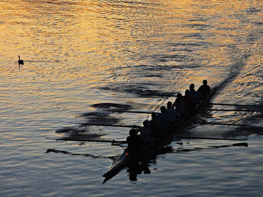 Image of rowers at dawn