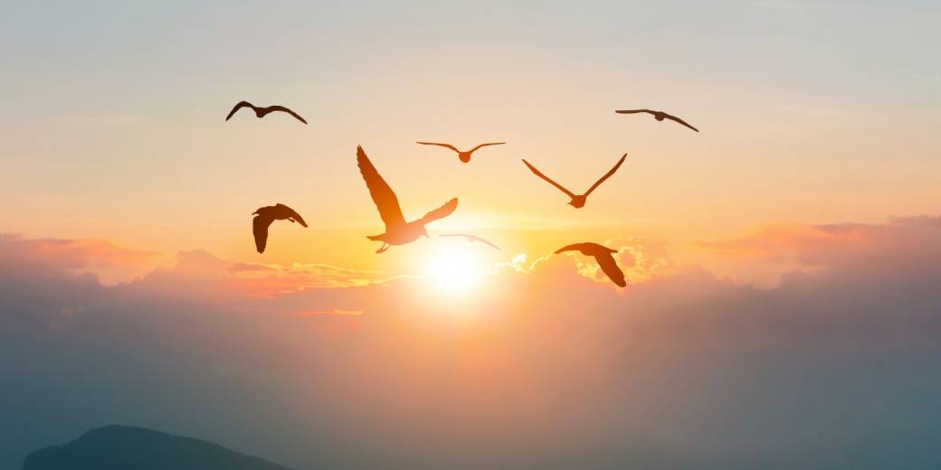 Don’t look back, you are not going that way