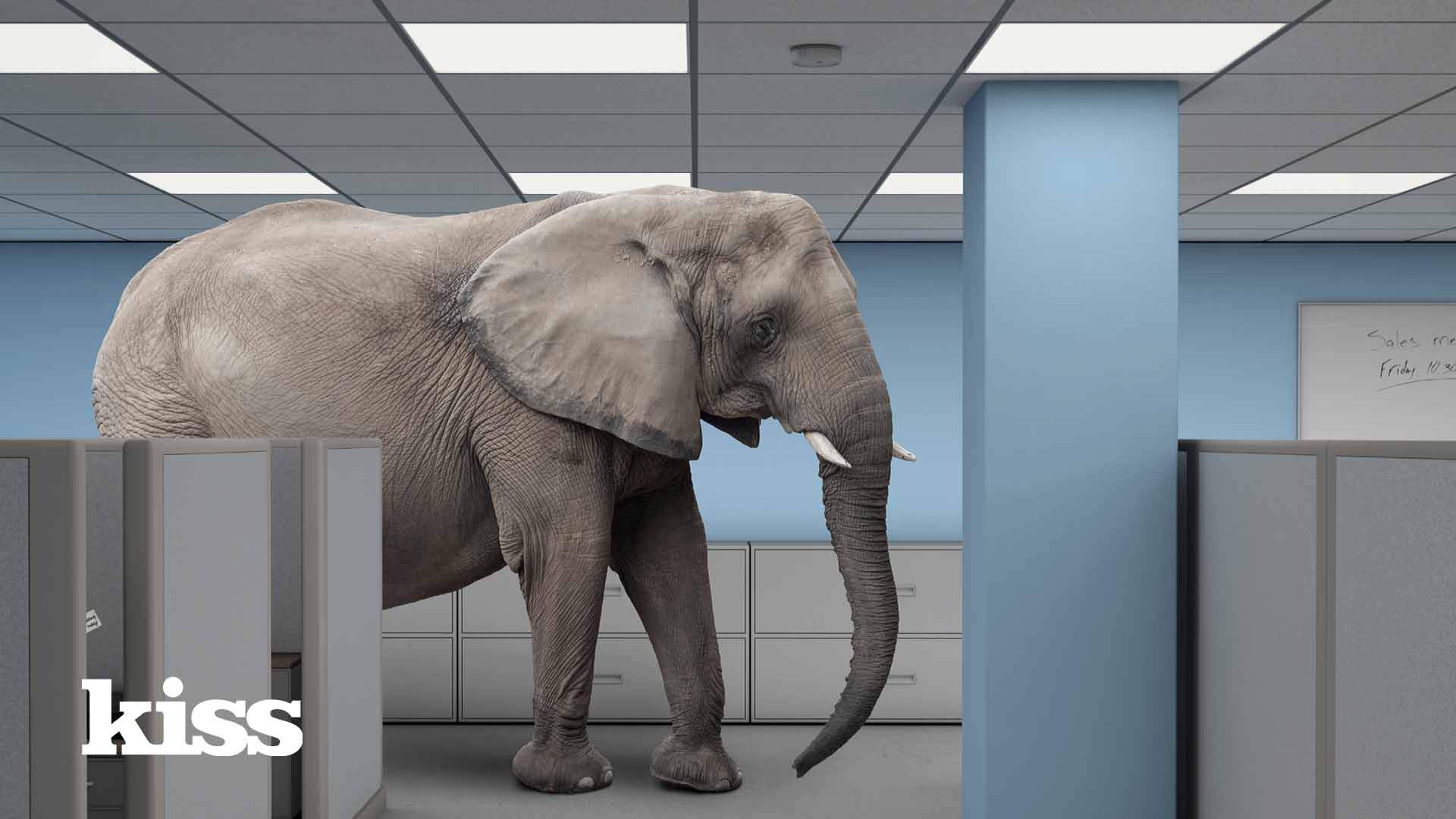 We’re addressing the elephant in the room – Twitter
