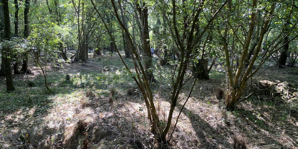 Food for the soul: our award-winning pro bono partnership