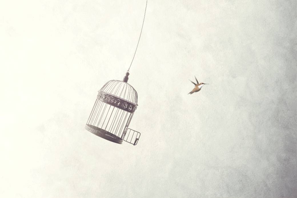 Is it time to start being brave?