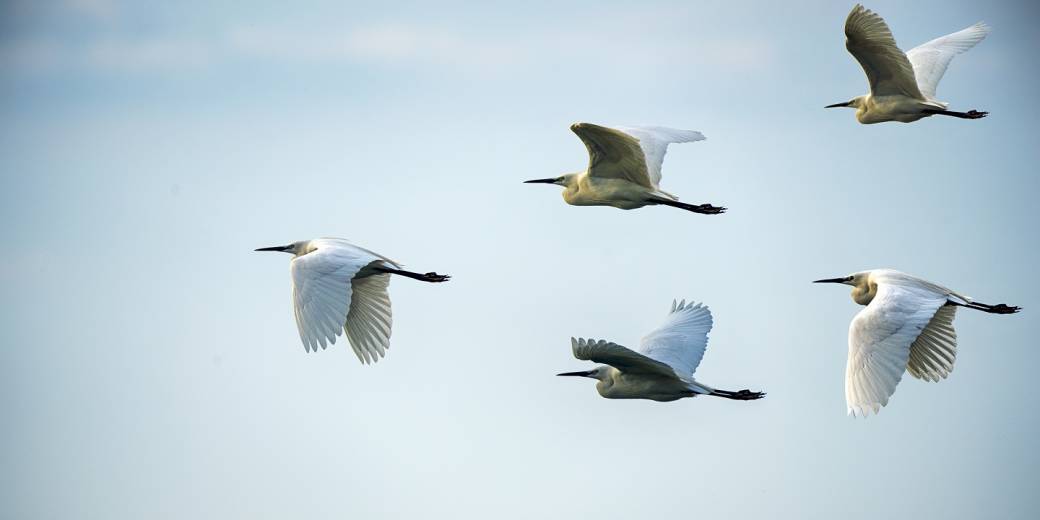 Lockdown leadership – the opportunity