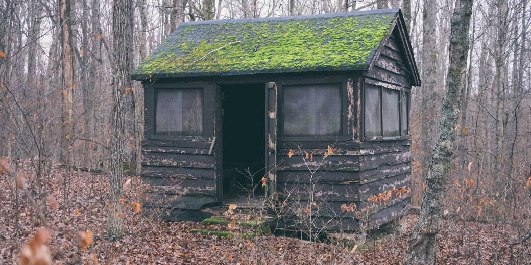 Sheds and what we can learn from them