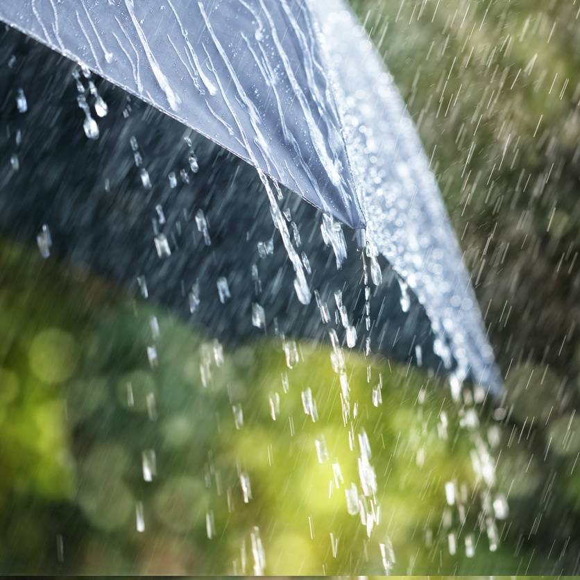 Rain falling on an umbrella