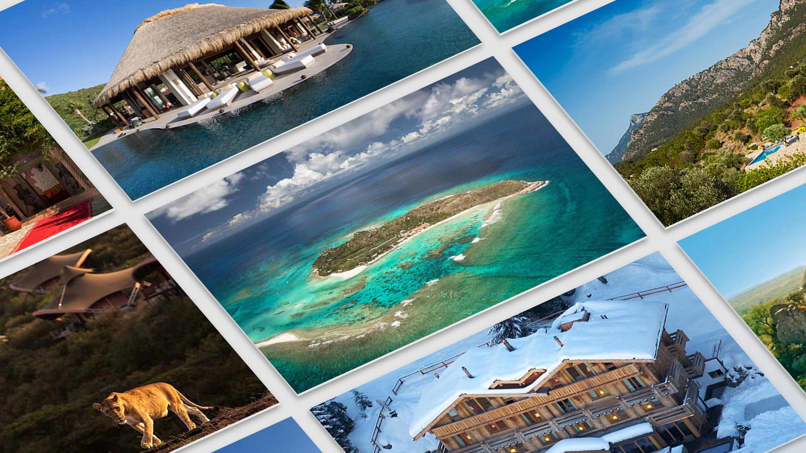 Virgin Limited Edition